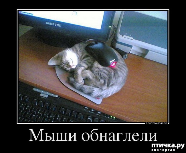 ���� 8: ��������� �����������: �����-�����-3!