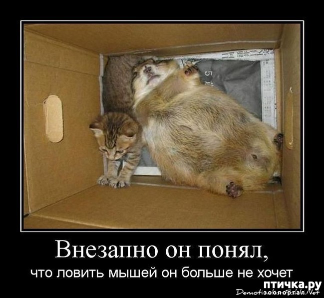 ���� 9: ��������� �����������: �����-�����-3!