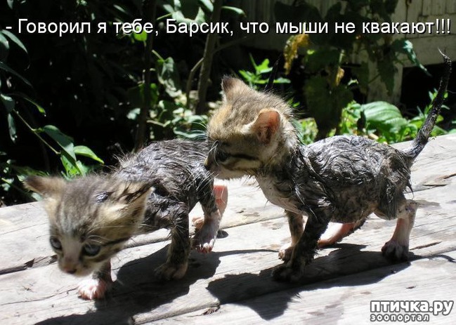 ���� 10: ��������� �����������: �����-�����-3!