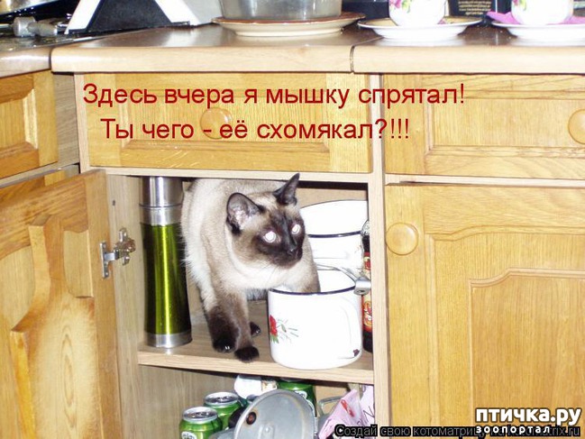 ���� 12: ��������� �����������: �����-�����-3!