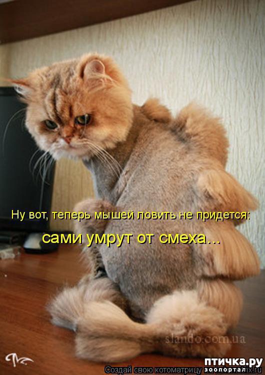 ���� 14: ��������� �����������: �����-�����-3!