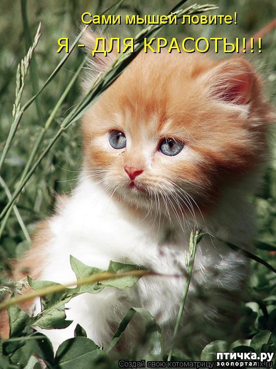 ���� 16: ��������� �����������: �����-�����-3!