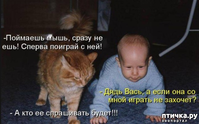 ���� 17: ��������� �����������: �����-�����-3!