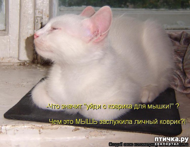 ���� 18: ��������� �����������: �����-�����-3!