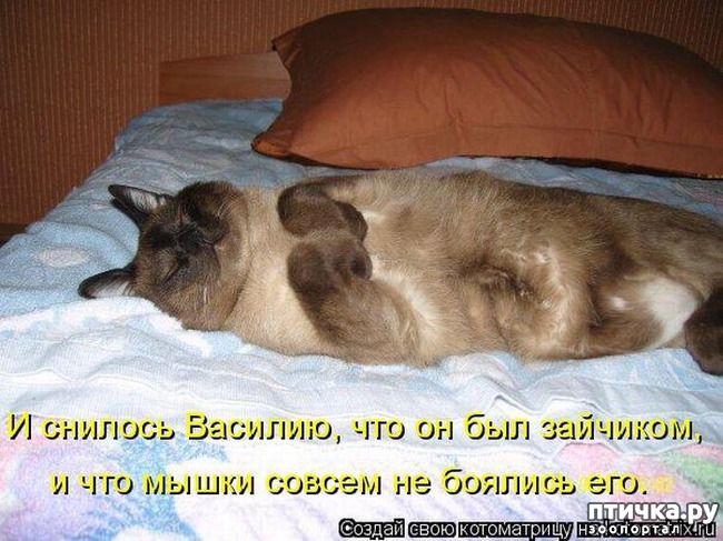 ���� 19: ��������� �����������: �����-�����-3!