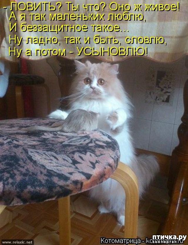 ���� 20: ��������� �����������: �����-�����-3!