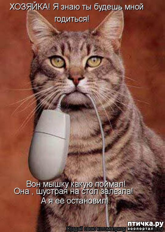 ���� 21: ��������� �����������: �����-�����-3!