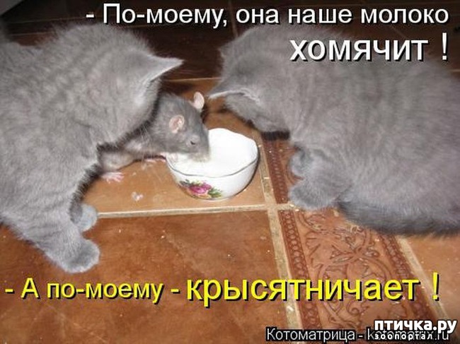 ���� 24: ��������� �����������: �����-�����-3!