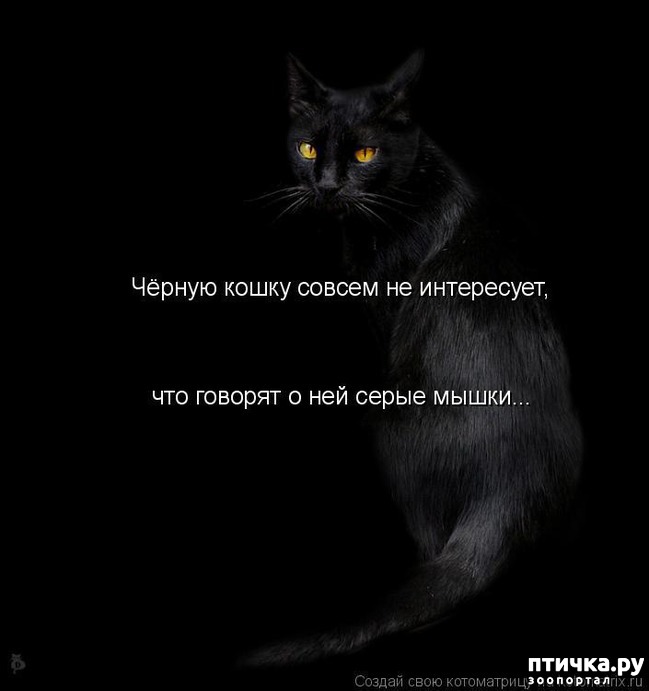 ���� 26: ��������� �����������: �����-�����-3!