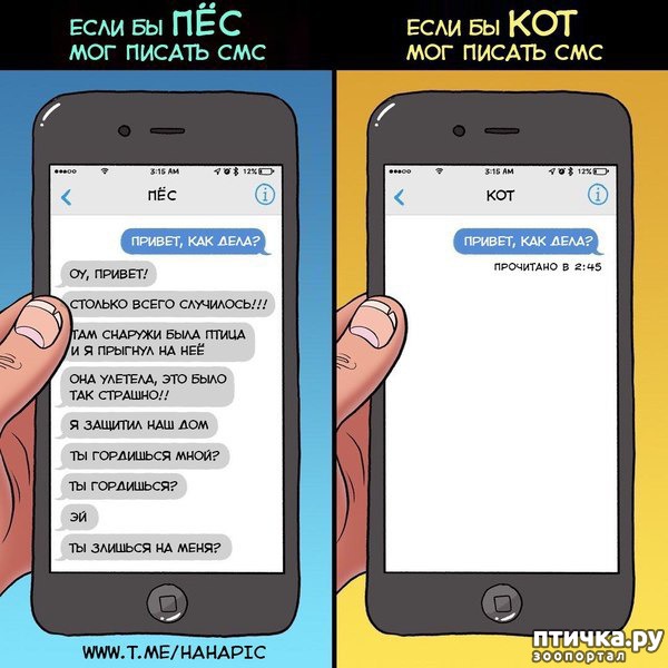 ���� 29: ���� �� ���� ������ ���