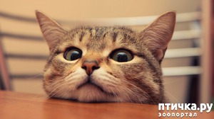 ����: ���� �� ���� ������ ���