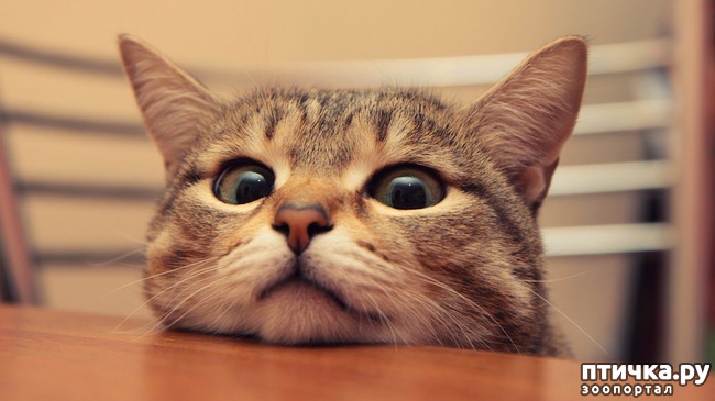 ���� 1: ���� �� ���� ������ ���