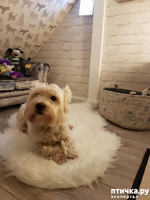 ����: ��� �� ������� ������� ��� �����!