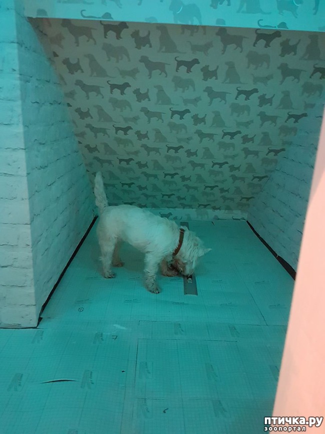  8:      !