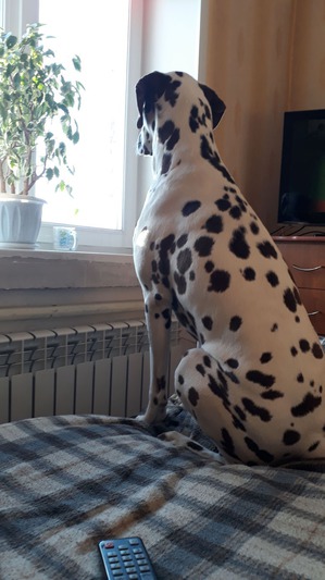 ����: ������ � ������