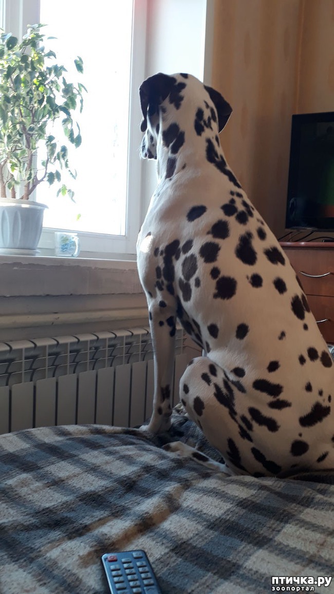 ���� 1: ������ � ������