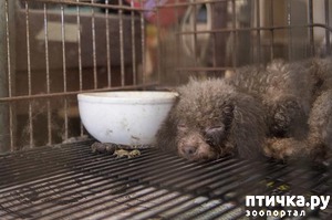 ����: ������ ��� ����� ��������� � ������� � ������ �� ���������� �����