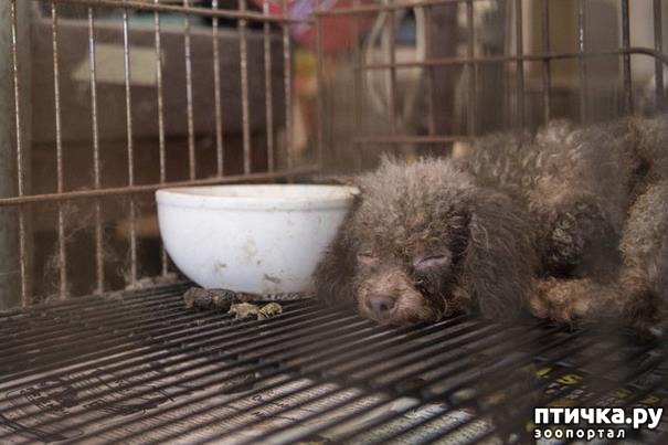 ���� 1: ������ ��� ����� ��������� � ������� � ������ �� ���������� �����