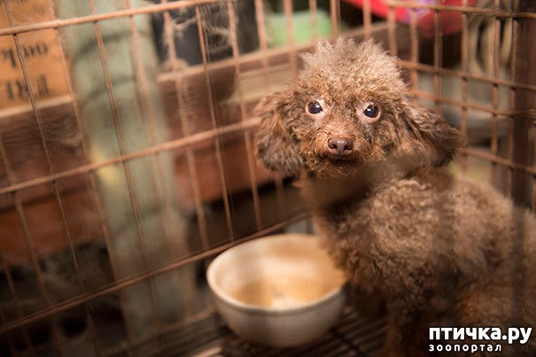 ���� 2: ������ ��� ����� ��������� � ������� � ������ �� ���������� �����