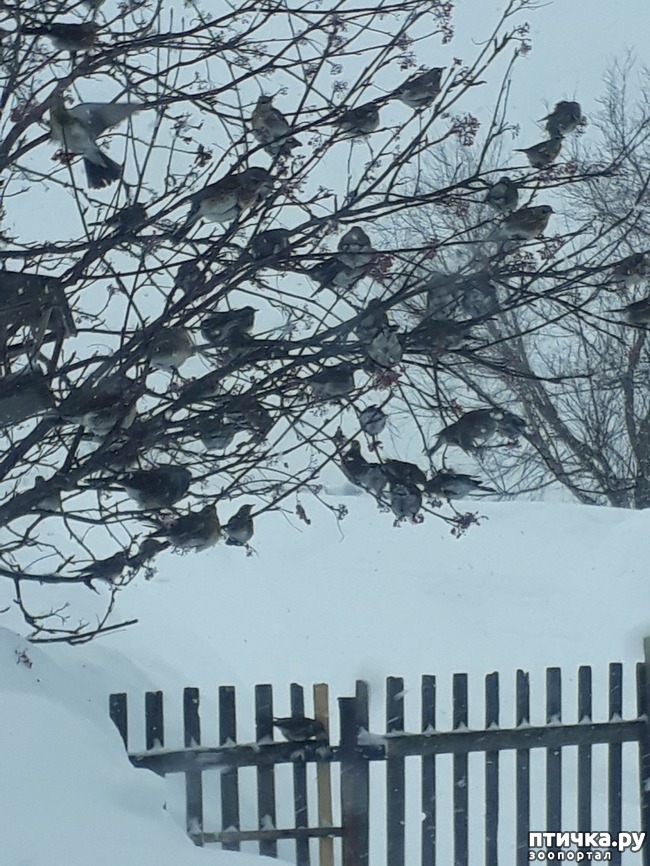 ���� 2: ������ � ������