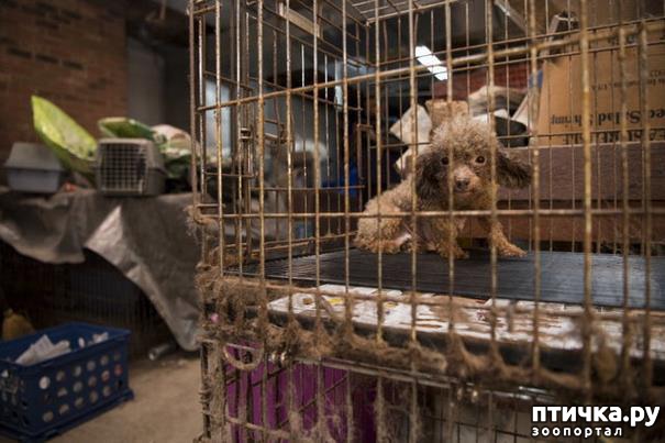 ���� 3: ������ ��� ����� ��������� � ������� � ������ �� ���������� �����