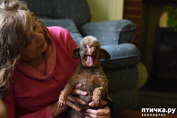 ���� 6: ������ ��� ����� ��������� � ������� � ������ �� ���������� �����