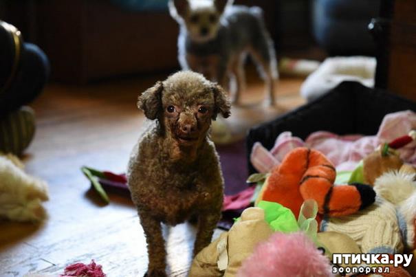 ���� 7: ������ ��� ����� ��������� � ������� � ������ �� ���������� �����