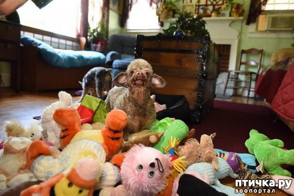 ���� 8: ������ ��� ����� ��������� � ������� � ������ �� ���������� �����