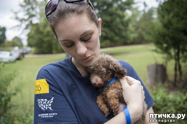 ���� 9: ������ ��� ����� ��������� � ������� � ������ �� ���������� �����