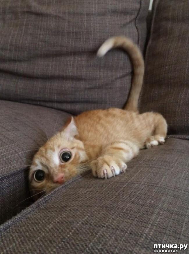 ���� 3: 15 ������ ����� ���������� ����