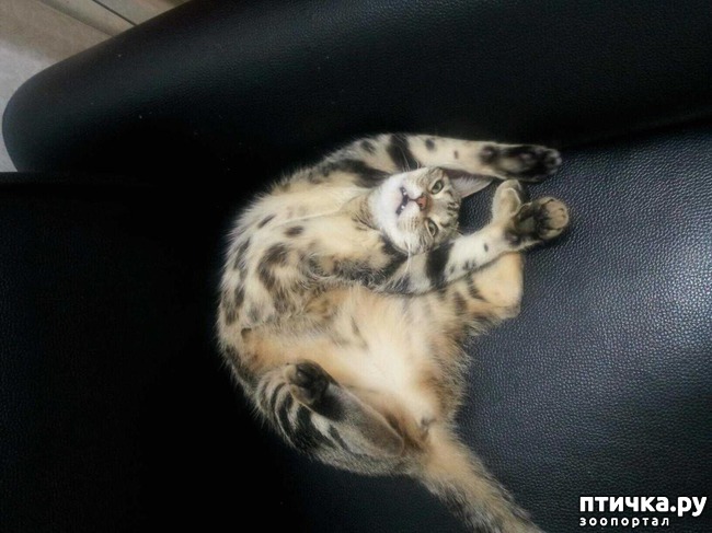 ���� 4: 15 ������ ����� ���������� ����