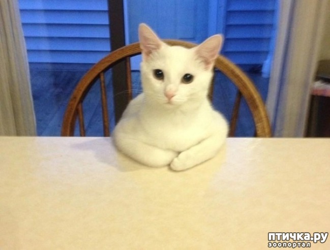 ���� 5: 15 ������ ����� ���������� ����