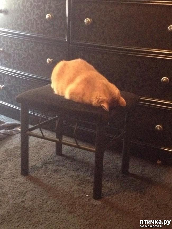 ���� 6: 15 ������ ����� ���������� ����