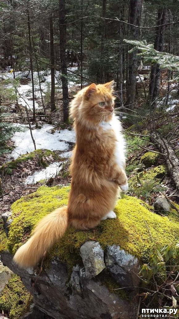 ���� 7: 15 ������ ����� ���������� ����