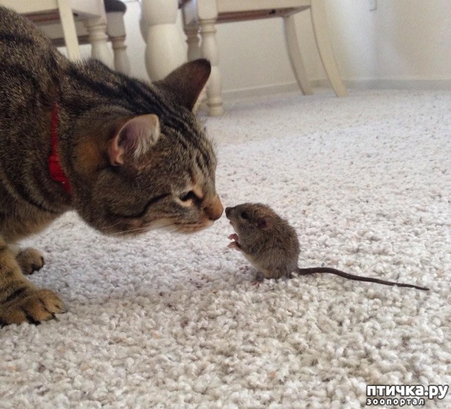 ���� 8: 15 ������ ����� ���������� ����