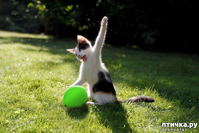 ���� 12: 15 ������ ����� ���������� ����