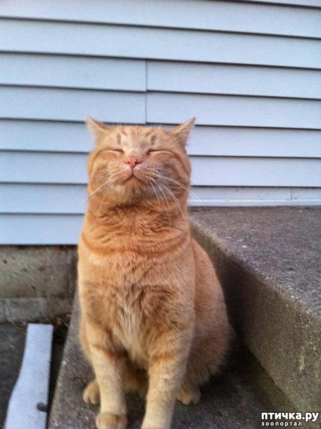 ���� 16: 15 ������ ����� ���������� ����