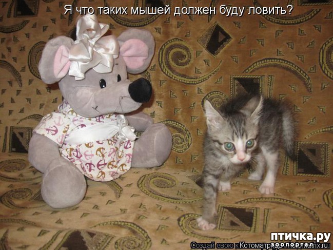 ���� 2: ��������� �����������: �����-�����!