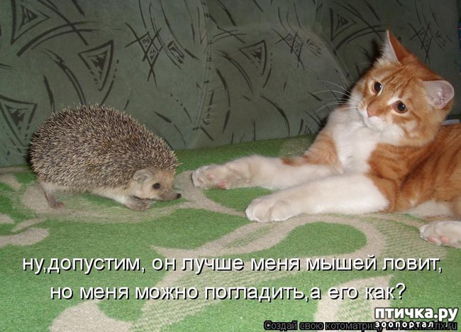 ���� 3: ��������� �����������: �����-�����!