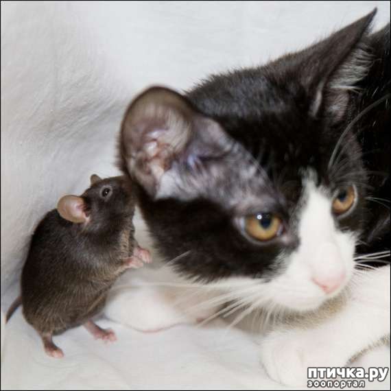 ���� 4: ��������� �����������: �����-�����!