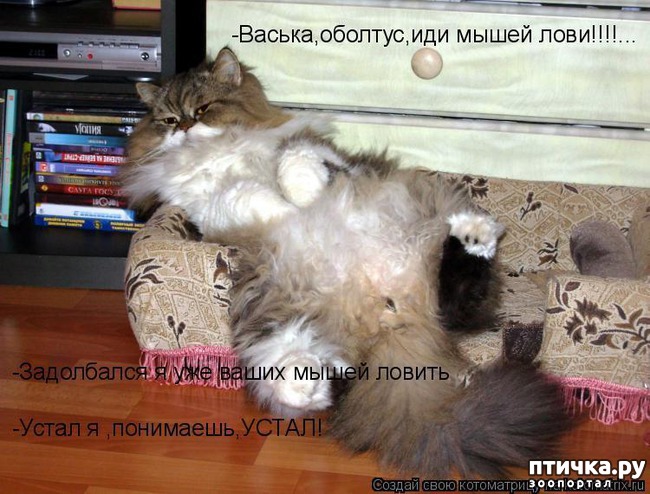 ���� 10: ��������� �����������: �����-�����!