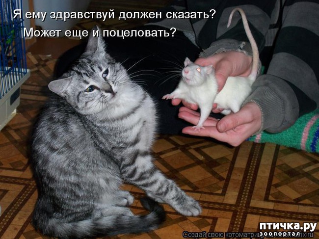 ���� 11: ��������� �����������: �����-�����!