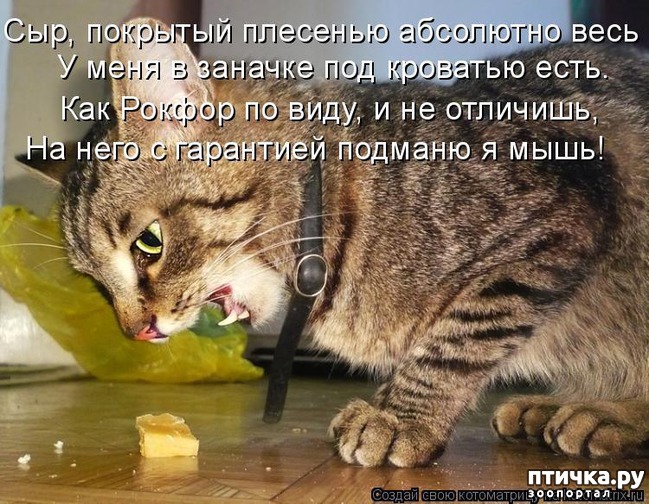 ���� 13: ��������� �����������: �����-�����!