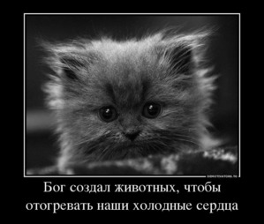 ����: ������� �������� � ������� � �� ������ � ����))