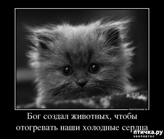 ���� 1: ������� �������� � ������� � �� ������ � ����))