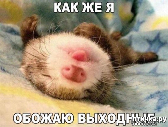 ���� 2: ������� �������� � ������� � �� ������ � ����))