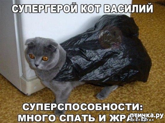 ���� 6: ������� �������� � ������� � �� ������ � ����))