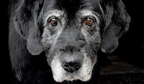 ���� 1: ������� �����...