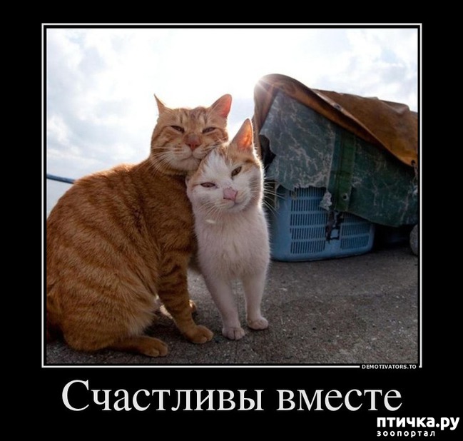 ���� 9: ������� �������� � ������� � �� ������ � ����))