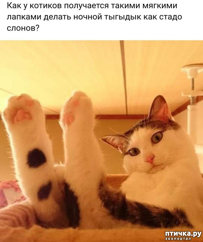 ���� 10: ������� �������� � ������� � �� ������ � ����))